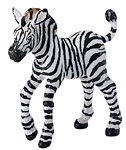 Zebra Baby.jpg
